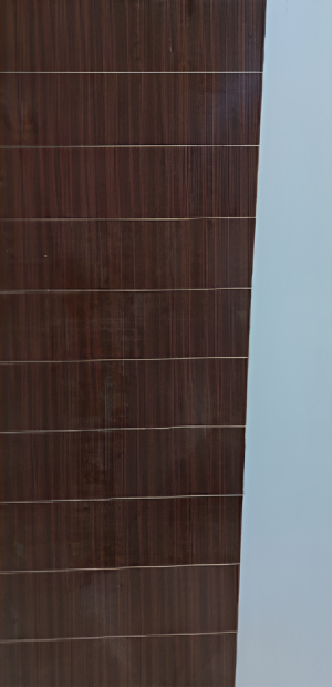 Maica Doors SD167 80*32